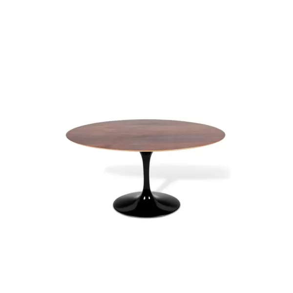 Mesa Saarinen